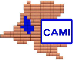 logo du Cadastre Minier de la République Démocratique du Congo